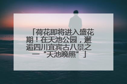 荷花即将进入盛花期！在天池公园，邂逅四川宜宾古八景之一“天池晚照”