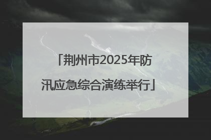 荆州市2025年防汛应急综合演练举行