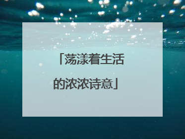 荡漾着生活的浓浓诗意