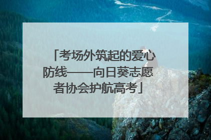 考场外筑起的爱心防线——向日葵志愿者协会护航高考
