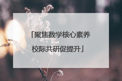 聚焦数学核心素养 校际共研促提升