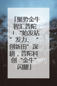 聚势金牛 智汇普陀〡“始发站”发力、“创新田”深耕，普陀科创“金牛”闪耀