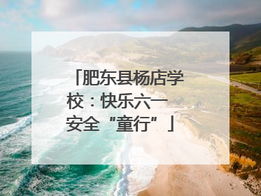 肥东县杨店学校：快乐六一 安全“童行”