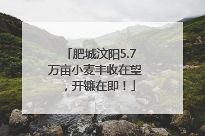 肥城汶阳5.7万亩小麦丰收在望，开镰在即！