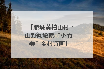 肥城黄柏山村：山野间绘就“小而美”乡村诗画