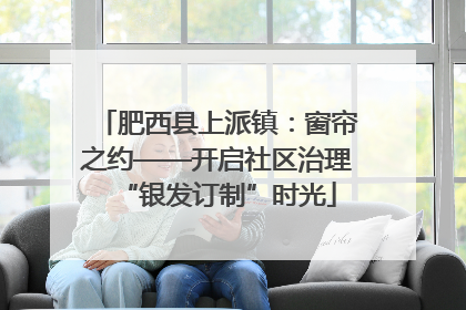 肥西县上派镇：窗帘之约——开启社区治理“银发订制”时光
