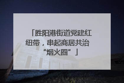 胜阳港街道党建红纽带，串起商居共治 “烟火圈”