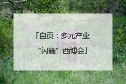 自贡：多元产业“闪耀”西博会