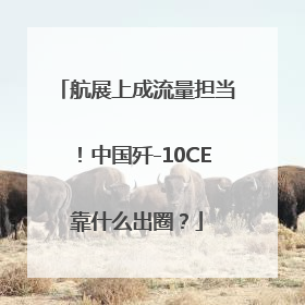 航展上成流量担当！中国歼-10CE靠什么出圈？