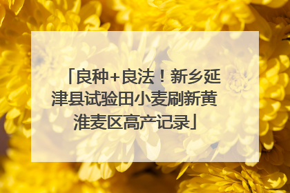 良种+良法！新乡延津县试验田小麦刷新黄淮麦区高产记录