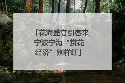 花海盛宴引客来 宁波宁海“赏花经济”别样红
