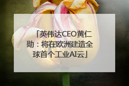 英伟达CEO黄仁勋：将在欧洲建造全球首个工业AI云