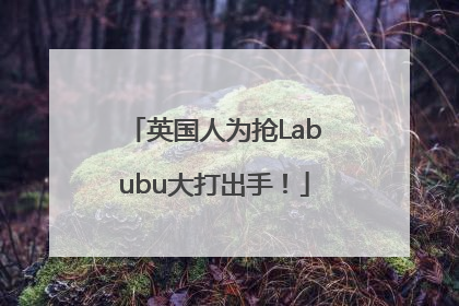 英国人为抢Labubu大打出手！