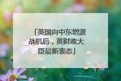 英国向中东增派战机后，英财政大臣最新表态