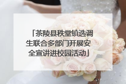 茶陵县秩堂镇选调生联合多部门开展安全宣讲进校园活动