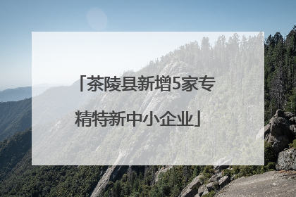 茶陵县新增5家专精特新中小企业
