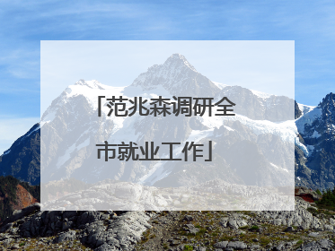 范兆森调研全市就业工作
