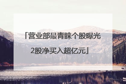 营业部最青睐个股曝光 2股净买入超亿元