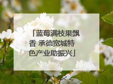 蓝莓满枝果飘香 承德宽城特色产业助振兴