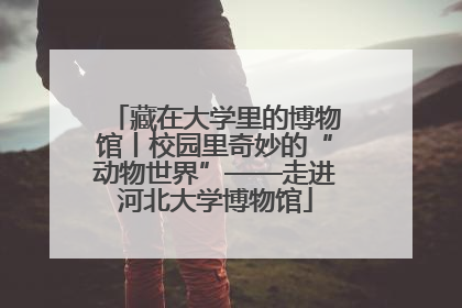 藏在大学里的博物馆丨校园里奇妙的“动物世界”——走进河北大学博物馆