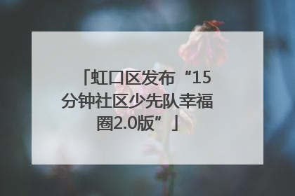 虹口区发布“15分钟社区少先队幸福圈2.0版”
