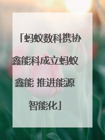 蚂蚁数科携协鑫能科成立蚂蚁鑫能 推进能源智能化