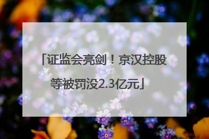 证监会亮剑！京汉控股等被罚没2.3亿元