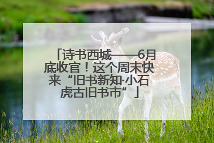 诗书西城——6月底收官！这个周末快来“旧书新知·小石虎古旧书市”