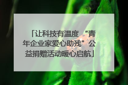 让科技有温度 “青年企业家爱心助残”公益捐赠活动暖心启航