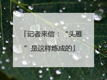 记者来信：“头雁”是这样炼成的
