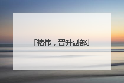 褚伟，晋升副部