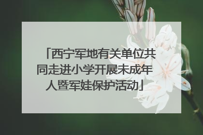 西宁军地有关单位共同走进小学开展未成年人暨军娃保护活动