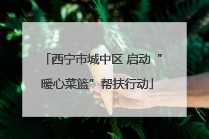 西宁市城中区 启动“暖心菜篮”帮扶行动