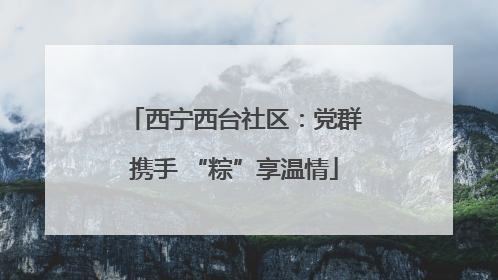 西宁西台社区：党群携手 “粽”享温情