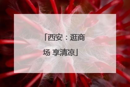 西安：逛商场 享清凉