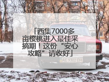 西集7000多亩樱桃进入最佳采摘期！这份“安心攻略”请收好