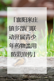 襄阳米庄镇多部门联动开展青少年药物滥用防范宣传