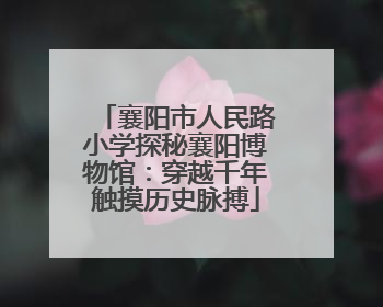 襄阳市人民路小学探秘襄阳博物馆：穿越千年触摸历史脉搏