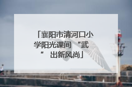 襄阳市清河口小学阳光课间 “武” 出新风尚