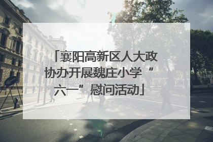 襄阳高新区人大政协办开展魏庄小学“六一”慰问活动