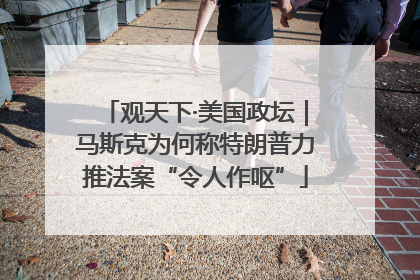 观天下·美国政坛｜马斯克为何称特朗普力推法案“令人作呕”