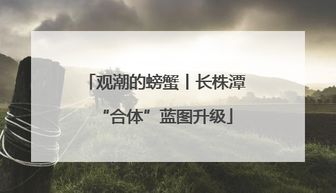 观潮的螃蟹丨长株潭“合体”蓝图升级