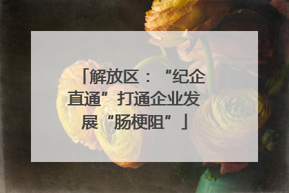 解放区：“纪企直通”打通企业发展“肠梗阻”