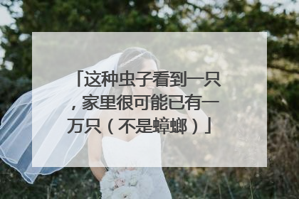 这种虫子看到一只，家里很可能已有一万只（不是蟑螂）