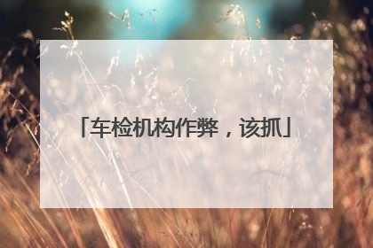 车检机构作弊，该抓