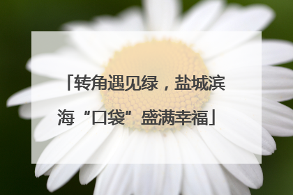转角遇见绿，盐城滨海“口袋”盛满幸福