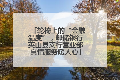 轮椅上的“金融温度”，邮储银行英山县支行营业部真情服务暖人心