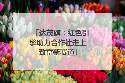 达茂旗：红色引擎助力合作社走上致富新赛道