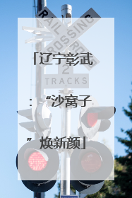 辽宁彰武：“沙窝子”焕新颜