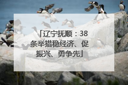 辽宁抚顺：38条举措稳经济、促振兴、勇争先